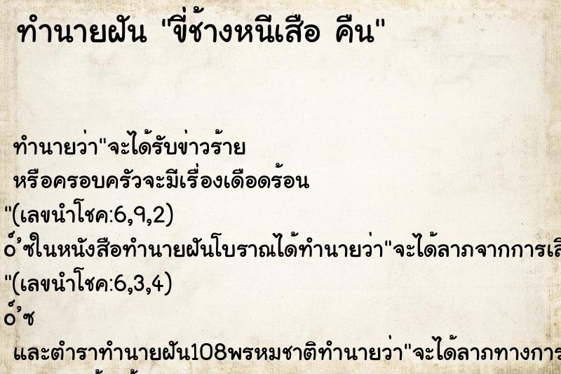 ทำนายฝันขี่ช้างหนีเสือคืน ทำนายฝันทำนายฝันขี่ช้างหนีเสือคืน